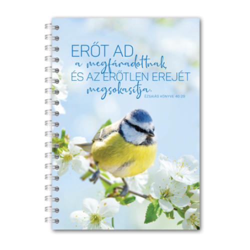 Jegyzetfüzet spirál Patmos - (11 fajta)