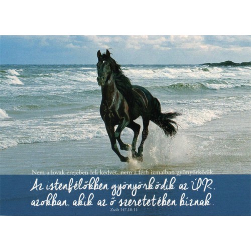 Képeslap - Az istenfélőkben gyönyörködik az Úr