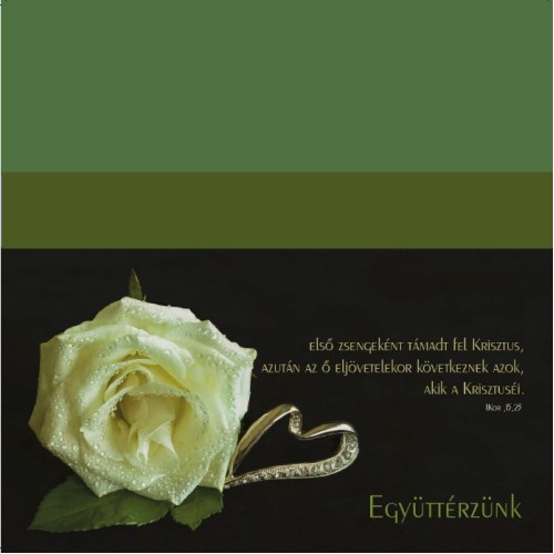 Borítékos képeslap - Együttérzünk (Kerügma)