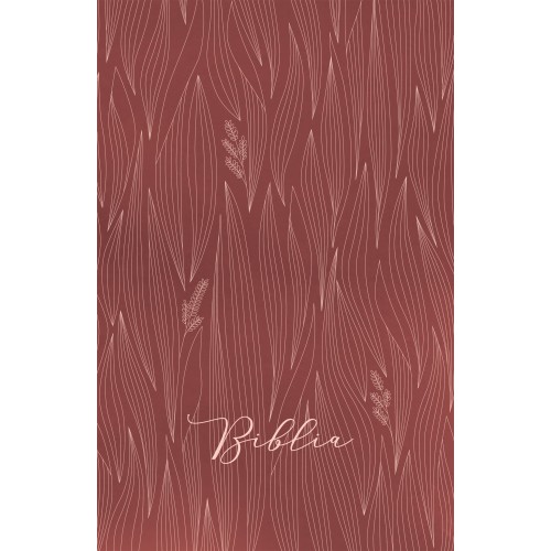 Biblia egyszerű fordítás (EFO) - bordó fűszállas