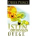 Isten orvosságos üvege - Derek Prince