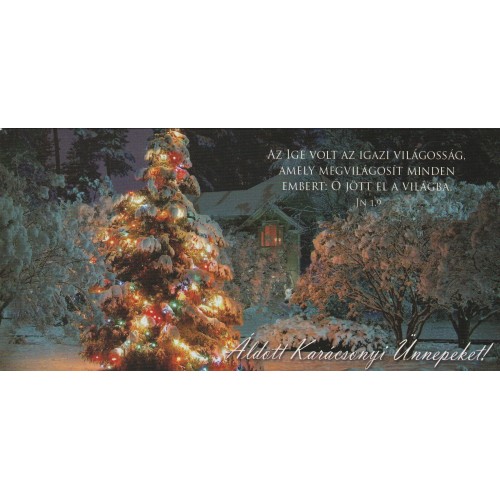 Képeslap - borítékos: Áldott karácsonyi ünnepeket! (karácsonyfa)