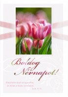 Borítékos képeslap: Boldog Névnapot! (good News - tulipánok)