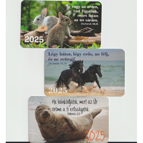 Kártyanaptár 2025 – vegyes csomag (12 db) – fóka,elefánt,zebra,tigris