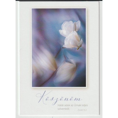 Borítékos képeslap - Köszönöm   ( fehér virágok kék környezetben)