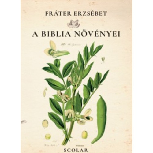 A Biblia növényei