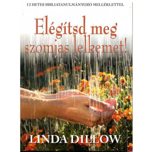 Elégítsd meg szomjas lelkemet! - Linda Dillow