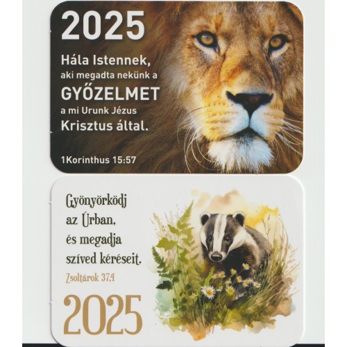 Kártyanaptár 2025 - vegyes csomag (12 db) –oroszlán-borz