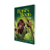 Robin Hood kalandjai - képregény